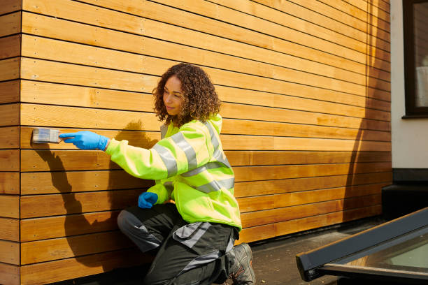 Best Siding Painting and Refinishing  in Winnie, TX